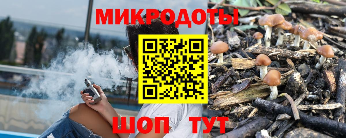 Ковров  Галлюциногенные грибы Psilocybe  Галлюциногенные грибы Psilocybine cubensis  Вход с VPN 