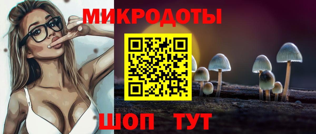 Псилоцибиновые грибы Psilocybe Ковров